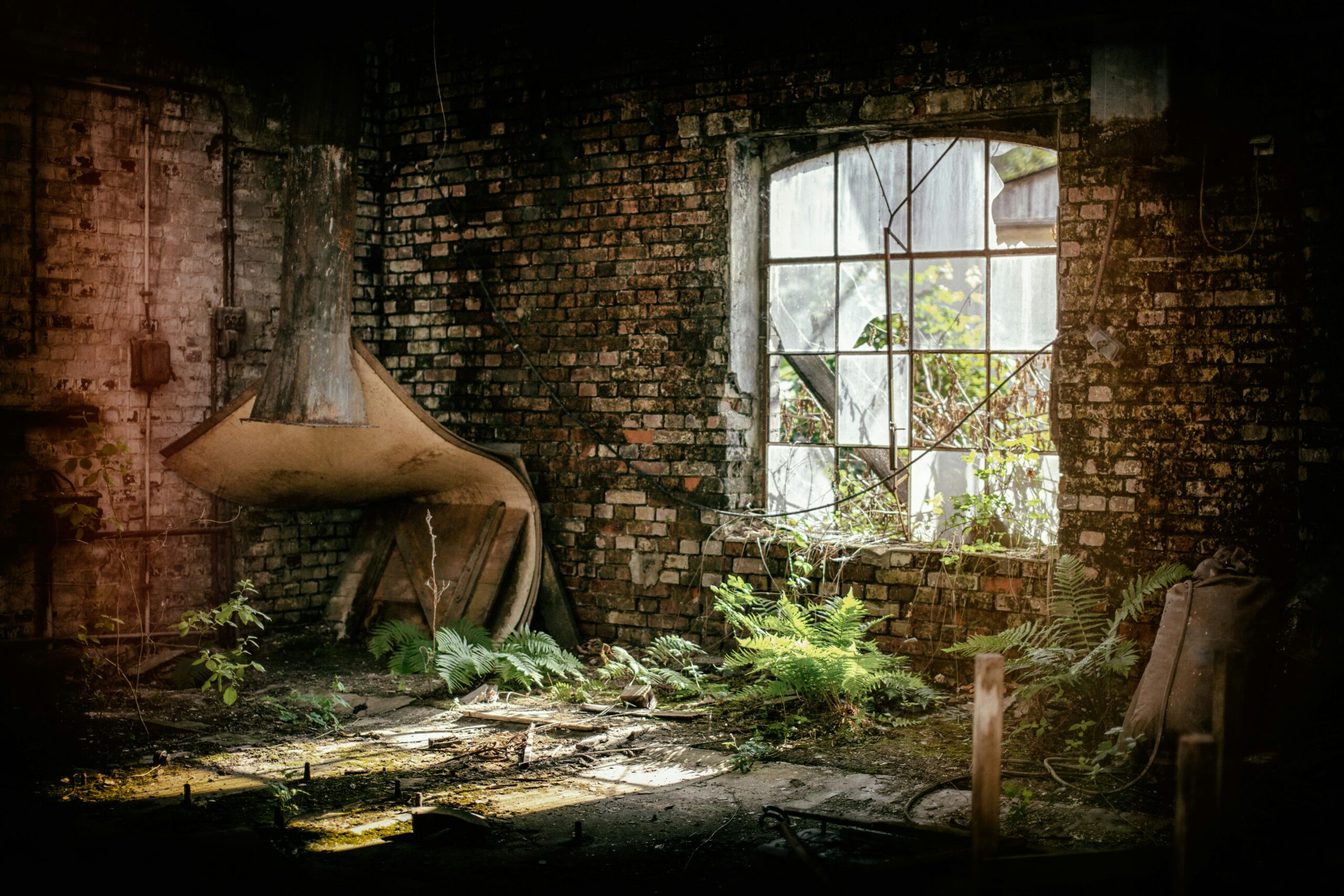 Free kündigt visuelle Immersion in „The Last of Us“ für Freebox Revolution an