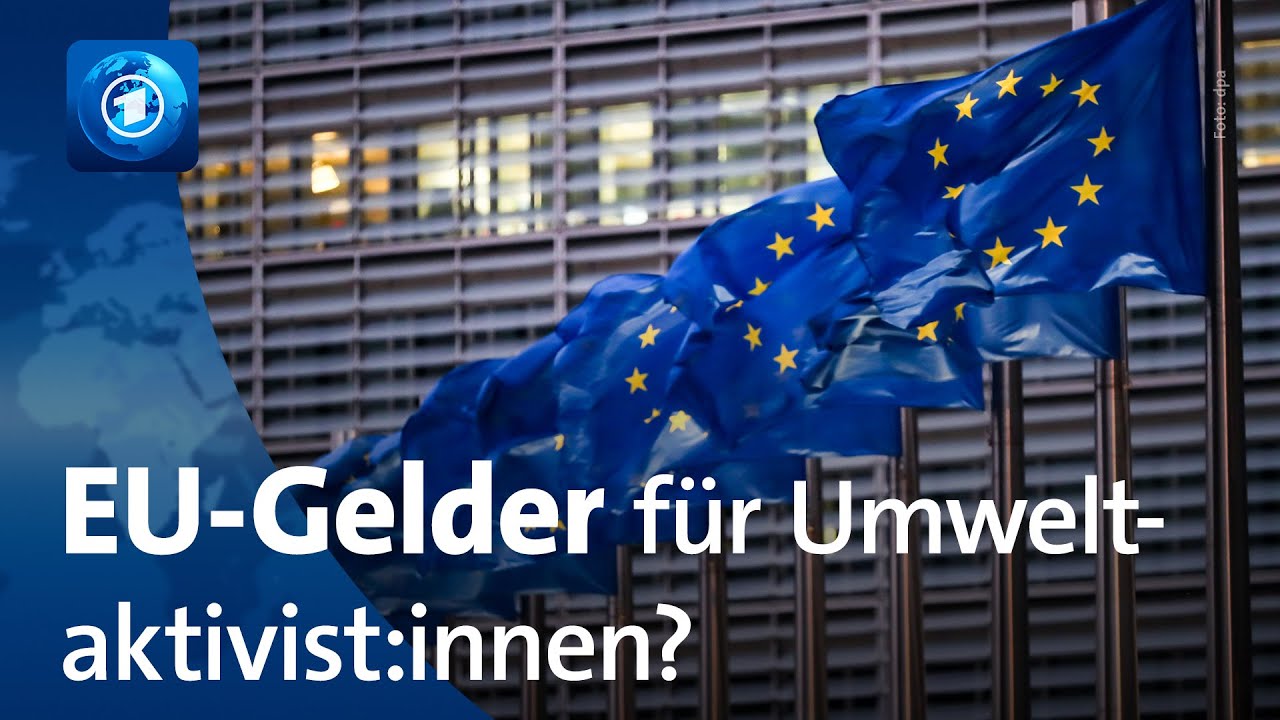 EU-Kommission finanziert Klimaaktivisten mit Steuergeldern – Skandal um verborgene Einflussnahme