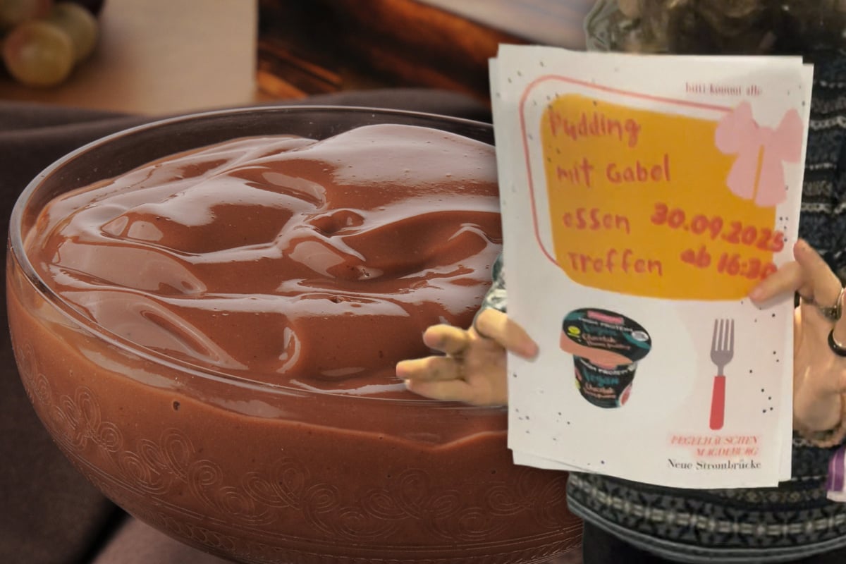 Pudding mit Gabeln: Deutschland in der Krise