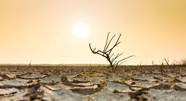 Die Bibel gegen den Klimahype