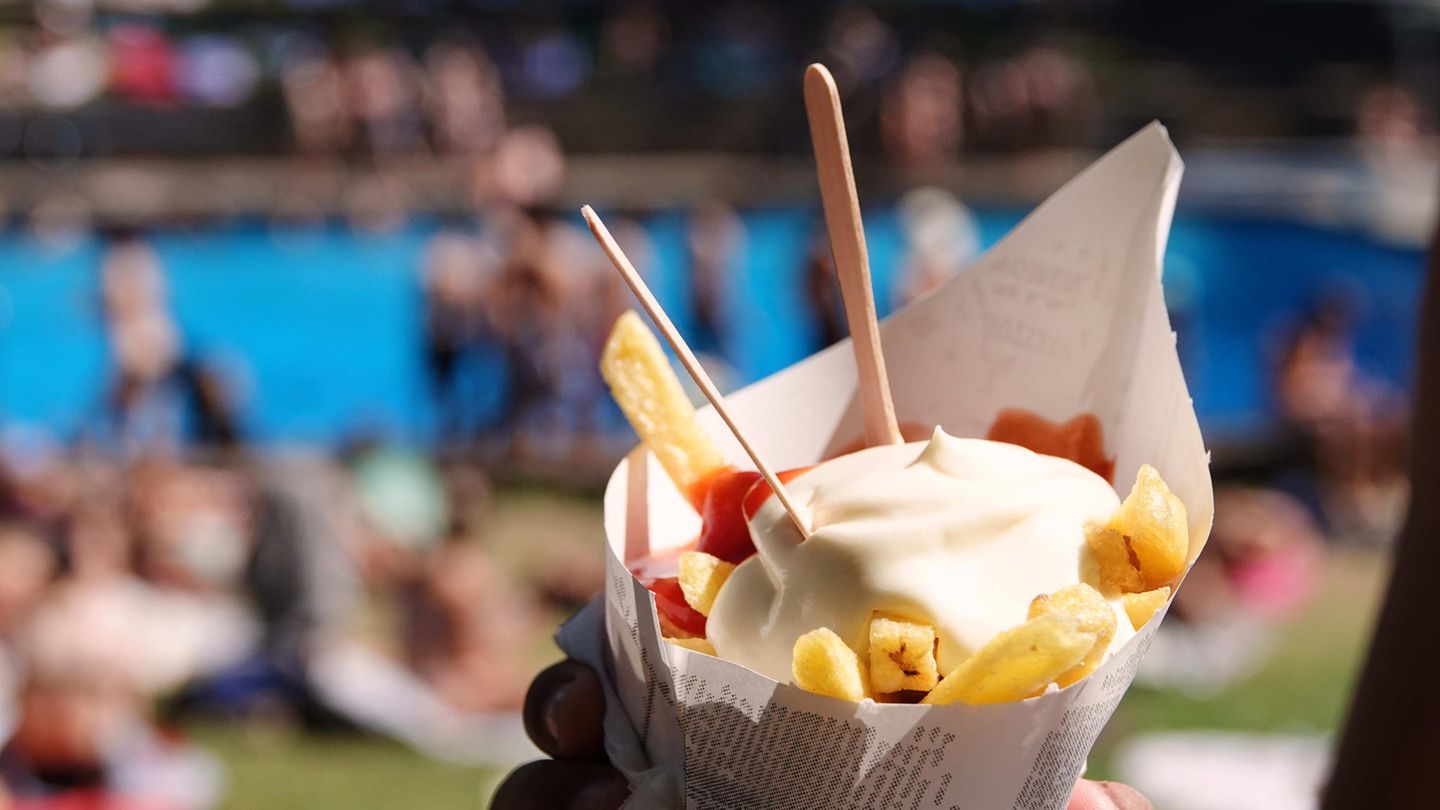 Kühlungskrise im ICE: Die Pommes werden zum Opfer der Klimaregulierung