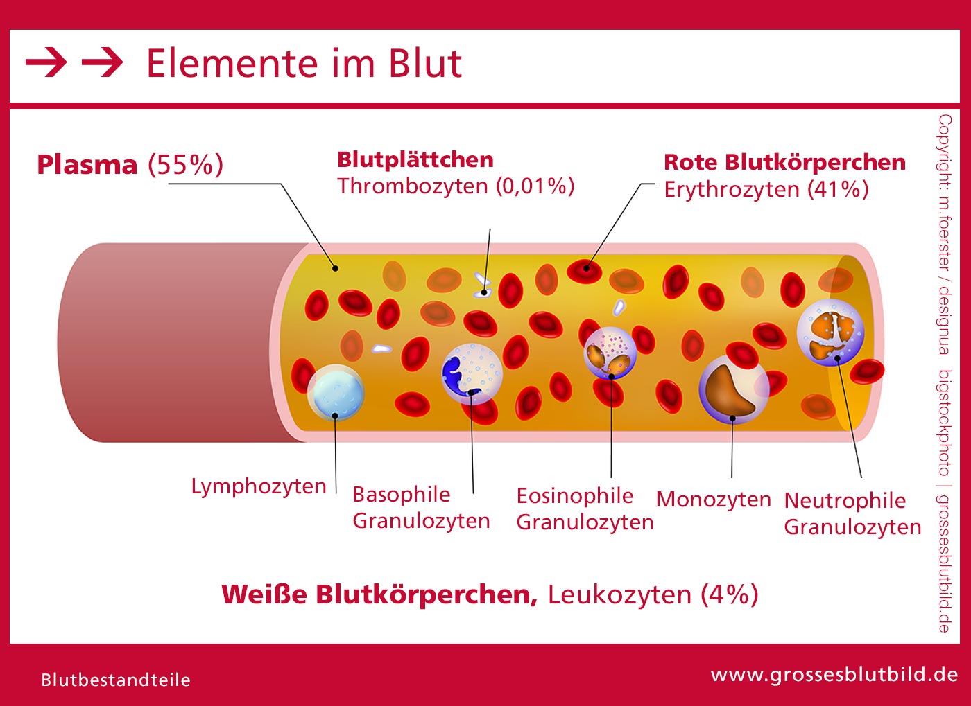 Ein schleichendes Gift im Blut: Warum wir uns täglich mit Nachrichten vergiften